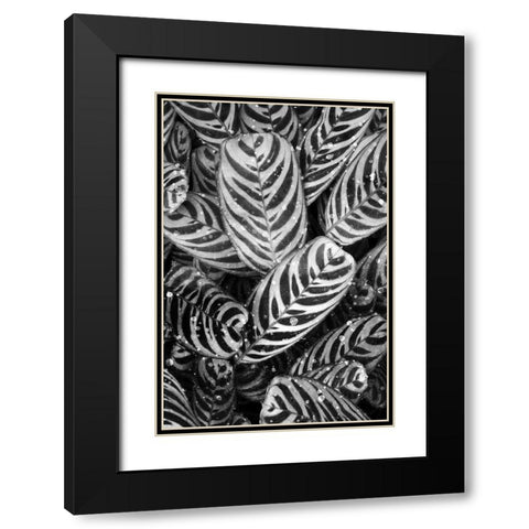 Midnight Palm Leaves 2 bw Black Modern Wood Framed Art Print with Double Matting by Allen, Kimberly