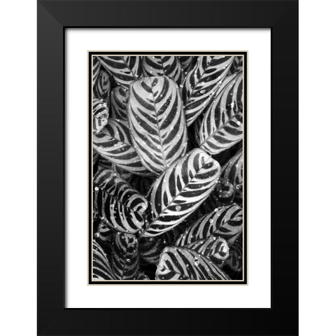 Midnight Palm Leaves 2 bw Black Modern Wood Framed Art Print with Double Matting by Allen, Kimberly