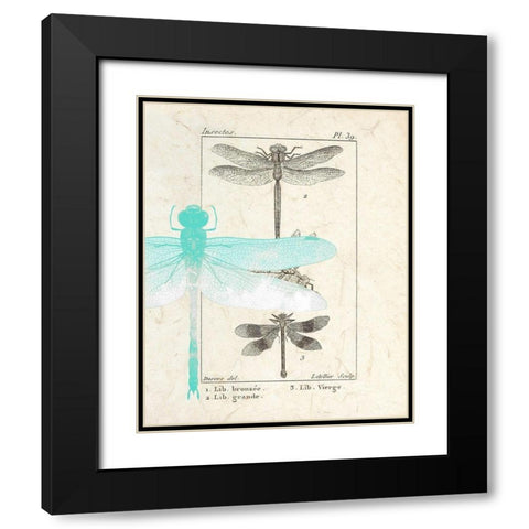 Field Guide 1 Black Modern Wood Framed Art Print with Double Matting by Allen, Kimberly