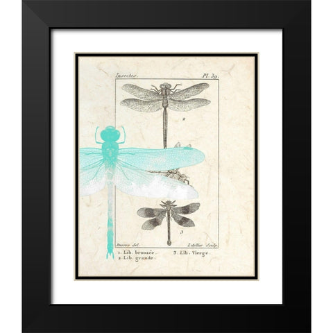 Field Guide 1 Black Modern Wood Framed Art Print with Double Matting by Allen, Kimberly