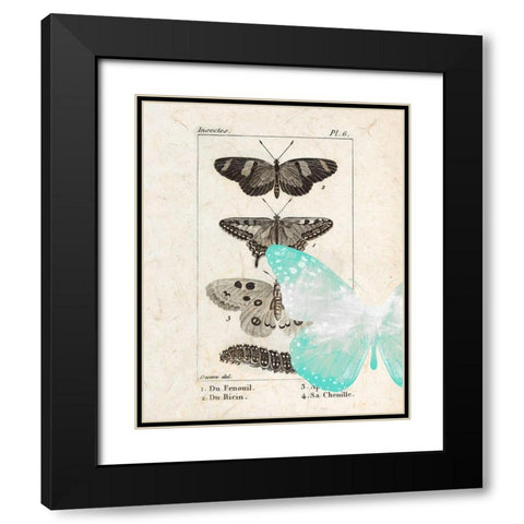 Field Guide 2 Black Modern Wood Framed Art Print with Double Matting by Allen, Kimberly