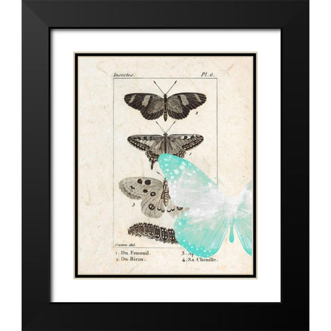 Field Guide 2 Black Modern Wood Framed Art Print with Double Matting by Allen, Kimberly