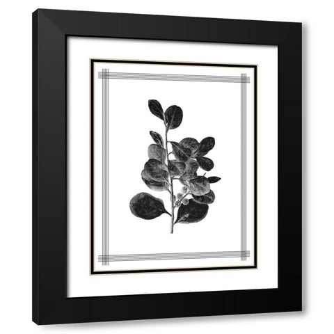 Pressed 1 Black Modern Wood Framed Art Print with Double Matting by Allen, Kimberly