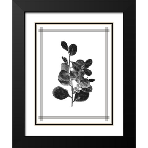 Pressed 1 Black Modern Wood Framed Art Print with Double Matting by Allen, Kimberly