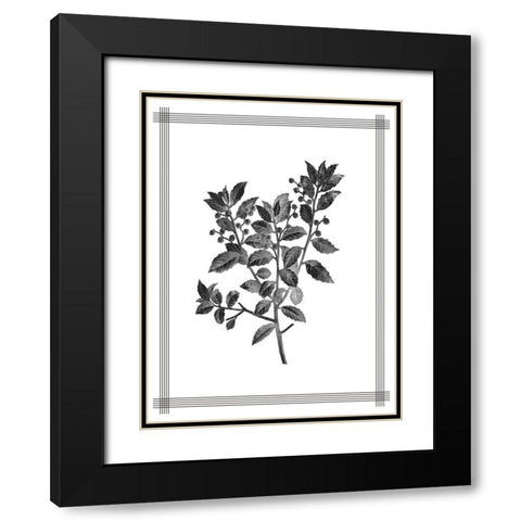 Pressed 2 Black Modern Wood Framed Art Print with Double Matting by Allen, Kimberly