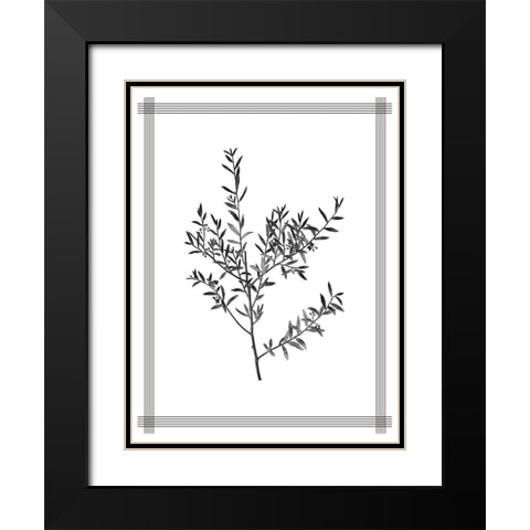 Pressed 3 Black Modern Wood Framed Art Print with Double Matting by Allen, Kimberly