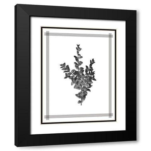 Pressed 4 Black Modern Wood Framed Art Print with Double Matting by Allen, Kimberly