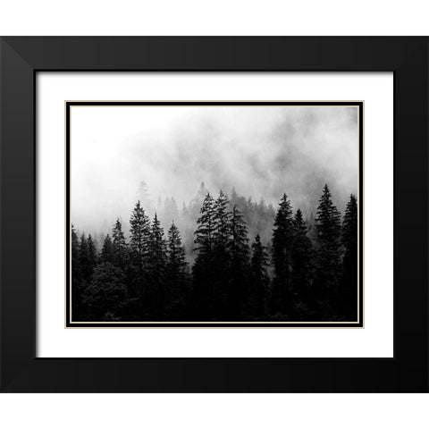 Foggy Morning Black Modern Wood Framed Art Print with Double Matting by Allen, Kimberly