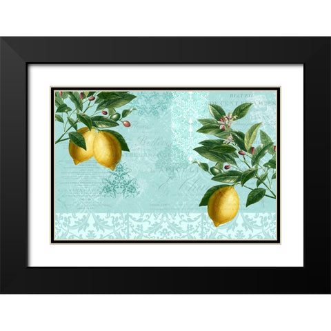 Lemon Drop Black Modern Wood Framed Art Print with Double Matting by Allen, Kimberly