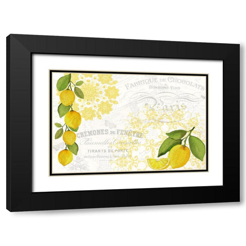 Mandala Lemon Black Modern Wood Framed Art Print with Double Matting by Allen, Kimberly