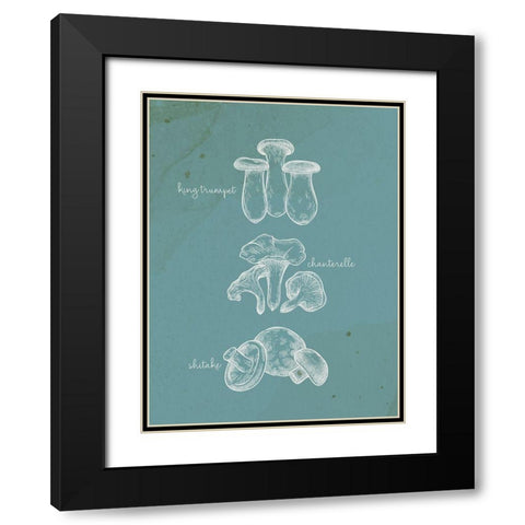 Mushroom Type 1 Black Modern Wood Framed Art Print with Double Matting by Allen, Kimberly
