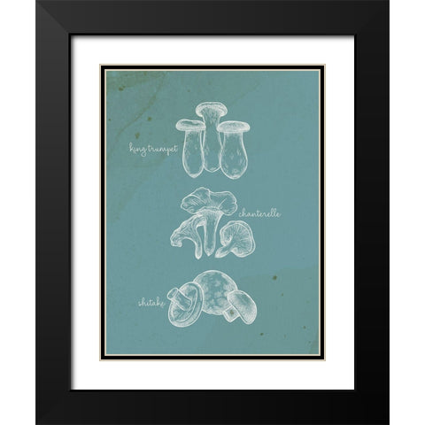 Mushroom Type 1 Black Modern Wood Framed Art Print with Double Matting by Allen, Kimberly