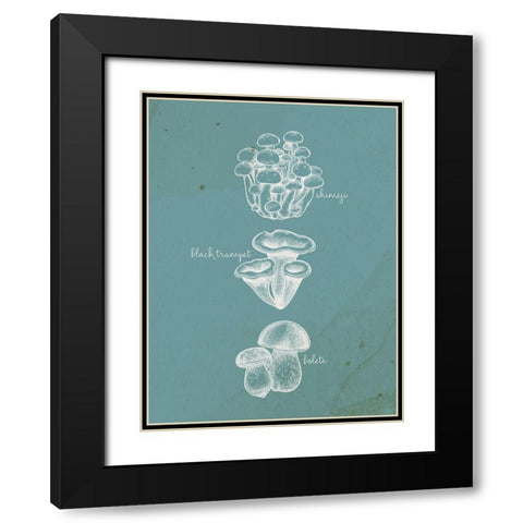 Mushroom Type 2 Black Modern Wood Framed Art Print with Double Matting by Allen, Kimberly
