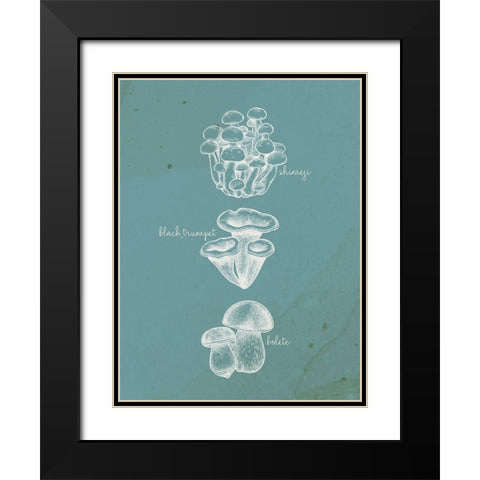 Mushroom Type 2 Black Modern Wood Framed Art Print with Double Matting by Allen, Kimberly