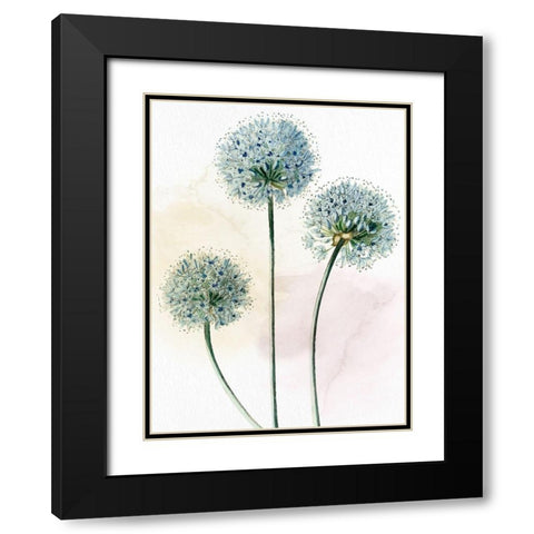 Watercolor Dandelion Black Modern Wood Framed Art Print with Double Matting by Allen, Kimberly