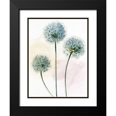 Watercolor Dandelion Black Modern Wood Framed Art Print with Double Matting by Allen, Kimberly