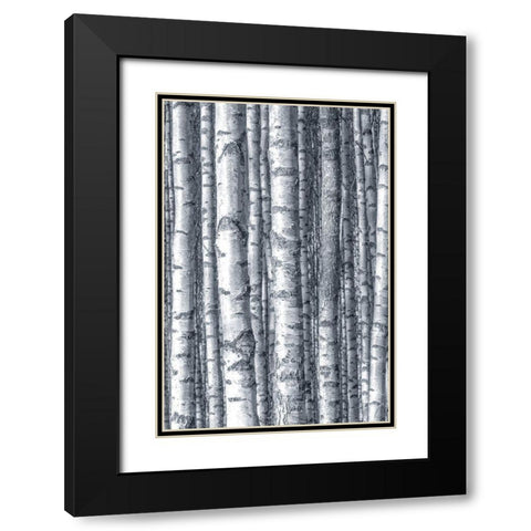 Birches 1 Black Modern Wood Framed Art Print with Double Matting by Allen, Kimberly