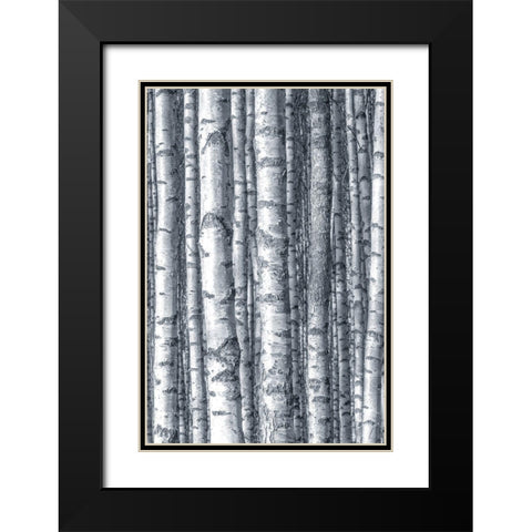 Birches 1 Black Modern Wood Framed Art Print with Double Matting by Allen, Kimberly
