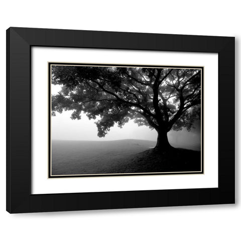 Early Morning Fog Black Modern Wood Framed Art Print with Double Matting by Allen, Kimberly