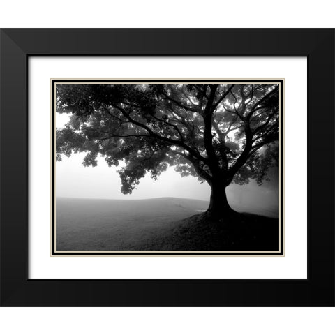 Early Morning Fog Black Modern Wood Framed Art Print with Double Matting by Allen, Kimberly