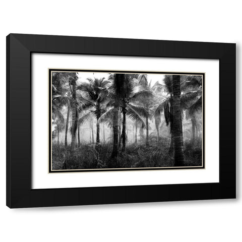Palms Black And White Black Modern Wood Framed Art Print with Double Matting by Allen, Kimberly