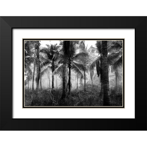 Palms Black And White Black Modern Wood Framed Art Print with Double Matting by Allen, Kimberly