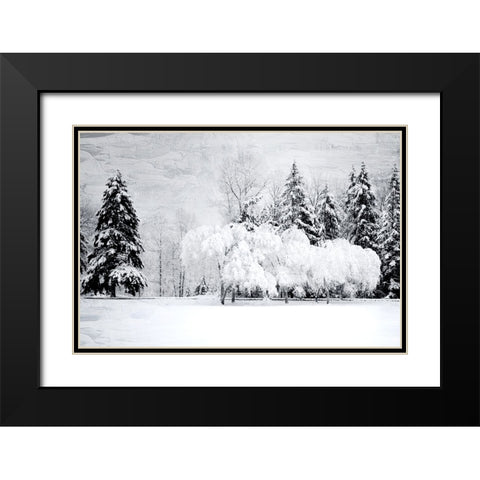 Winter Snow Black Modern Wood Framed Art Print with Double Matting by Allen, Kimberly