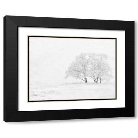 Winter White Black Modern Wood Framed Art Print with Double Matting by Allen, Kimberly