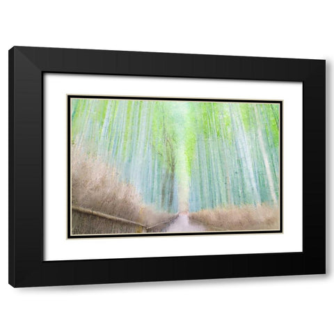 Down the Path Black Modern Wood Framed Art Print with Double Matting by Allen, Kimberly
