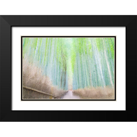 Down the Path Black Modern Wood Framed Art Print with Double Matting by Allen, Kimberly