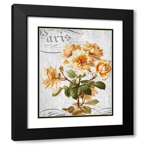 Country Floral 1 Black Modern Wood Framed Art Print with Double Matting by Allen, Kimberly