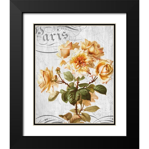 Country Floral 1 Black Modern Wood Framed Art Print with Double Matting by Allen, Kimberly