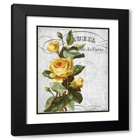 Country Floral 2 Black Modern Wood Framed Art Print with Double Matting by Allen, Kimberly