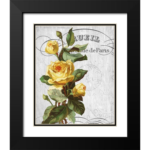 Country Floral 2 Black Modern Wood Framed Art Print with Double Matting by Allen, Kimberly