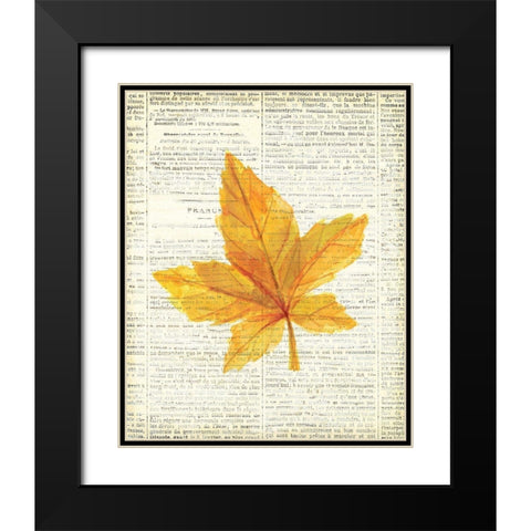 In the Fall 1  Black Modern Wood Framed Art Print with Double Matting by Kimberly, Allen