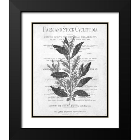 Defused Botanical 1 Black Modern Wood Framed Art Print with Double Matting by Kimberly, Allen