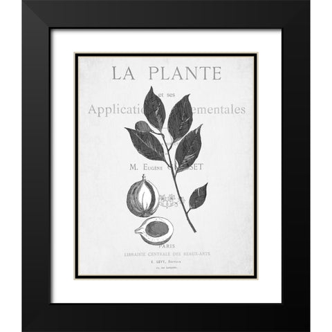 Defused Botanical 3 Black Modern Wood Framed Art Print with Double Matting by Kimberly, Allen