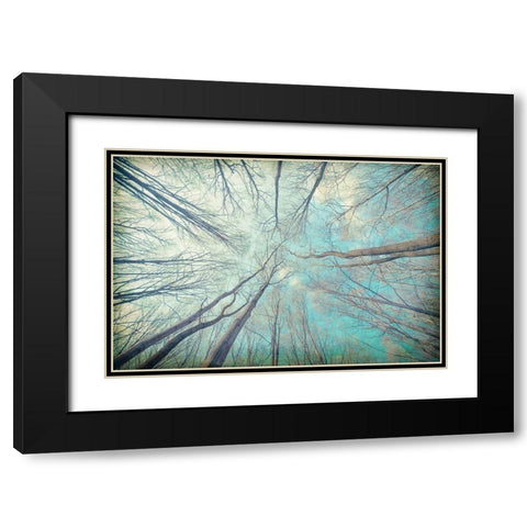 My View Up Black Modern Wood Framed Art Print with Double Matting by Kimberly, Allen