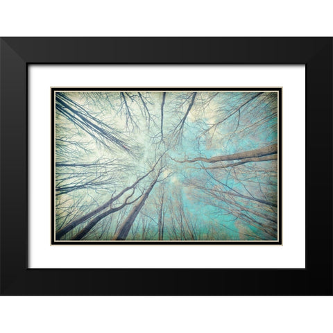 My View Up Black Modern Wood Framed Art Print with Double Matting by Kimberly, Allen