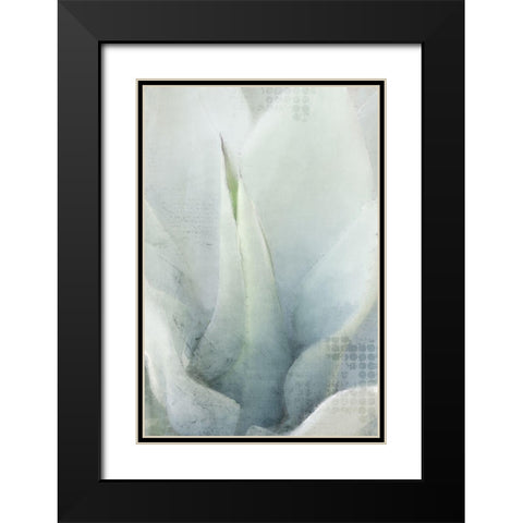 Agave 1 Black Modern Wood Framed Art Print with Double Matting by Kimberly, Allen