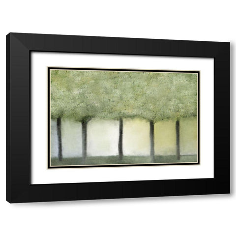 Grove of Trees Black Modern Wood Framed Art Print with Double Matting by Kimberly, Allen