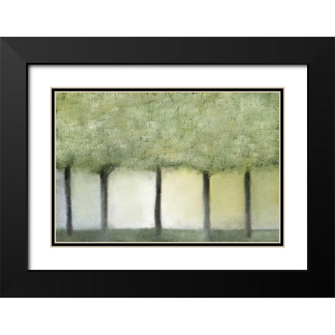 Grove of Trees Black Modern Wood Framed Art Print with Double Matting by Kimberly, Allen