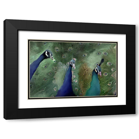 Royal 1 Black Modern Wood Framed Art Print with Double Matting by Kimberly, Allen