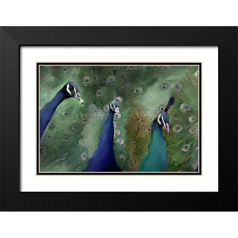 Royal 1 Black Modern Wood Framed Art Print with Double Matting by Kimberly, Allen