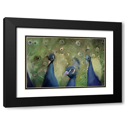 Royal 2 Black Modern Wood Framed Art Print with Double Matting by Kimberly, Allen