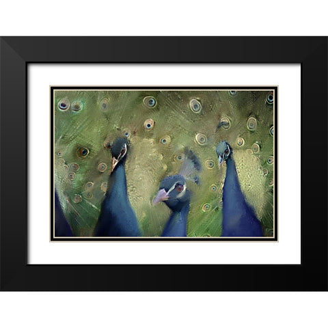 Royal 2 Black Modern Wood Framed Art Print with Double Matting by Kimberly, Allen
