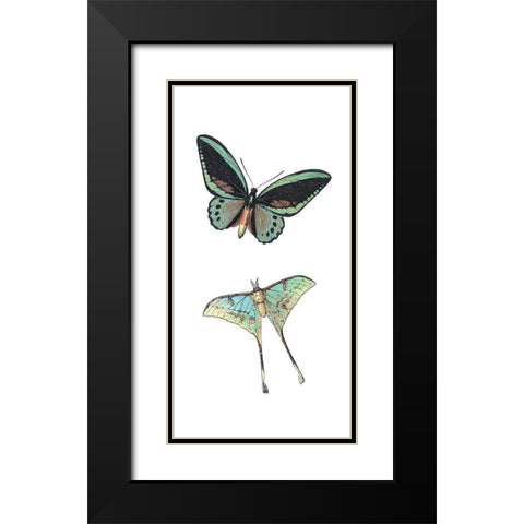 Fly Free 1 Black Modern Wood Framed Art Print with Double Matting by Kimberly, Allen