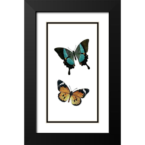 Fly Free 2 Black Modern Wood Framed Art Print with Double Matting by Kimberly, Allen