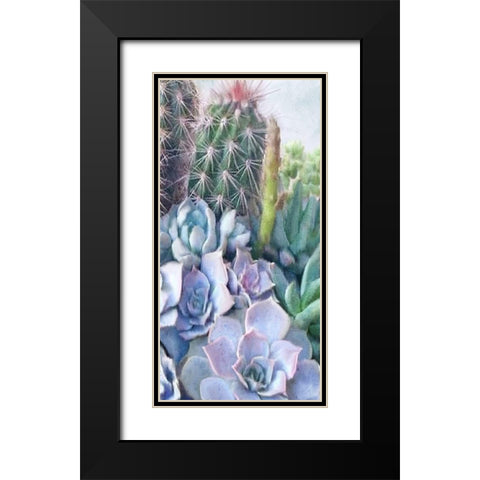 Succulent Garden 1 Black Modern Wood Framed Art Print with Double Matting by Kimberly, Allen