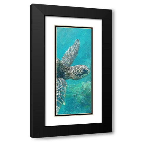 Sea Turtle 1 Black Modern Wood Framed Art Print with Double Matting by Allen, Kimberly